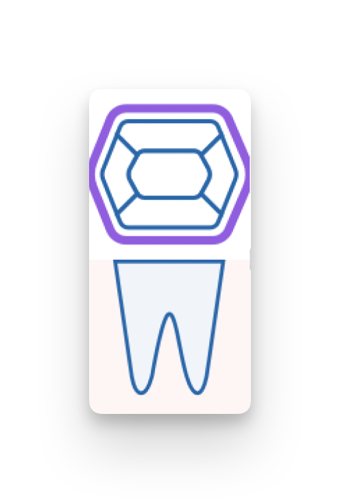 handbuch fachgruppen dental befundgrafiken band