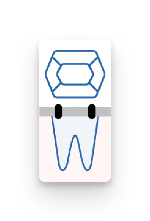 handbuch fachgruppen dental befundgrafiken bogen und bracket