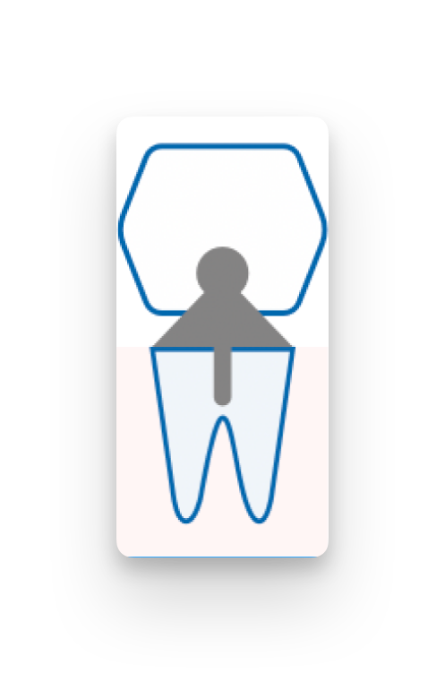 handbuch fachgruppen dental befundgrafiken ssa